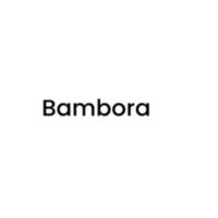 Bambora Promo Code