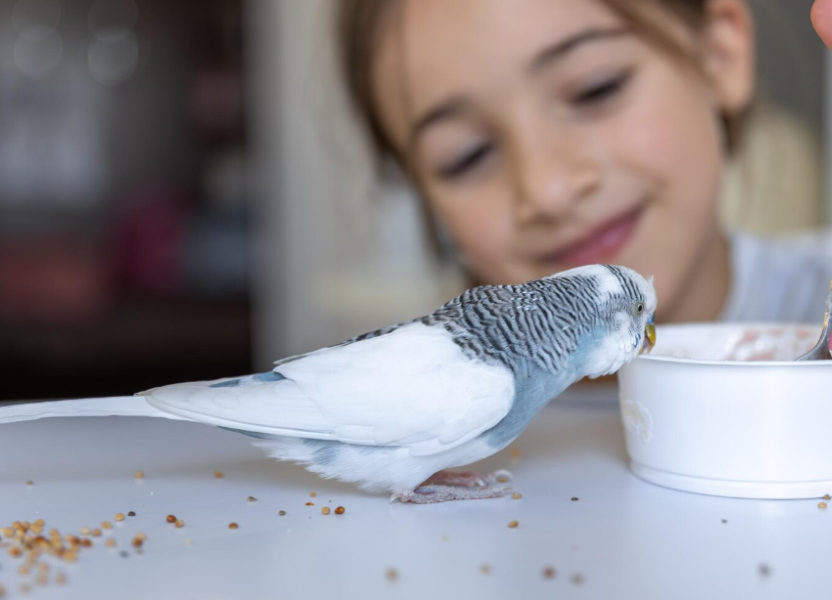 Mama Bird Review: Best Brain-First Vitamins for Families