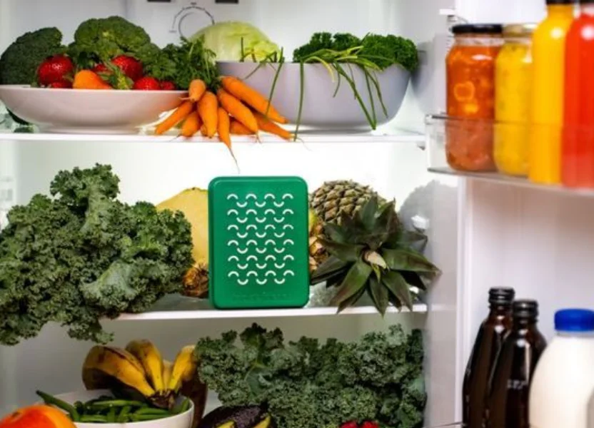 Tool for extended freshness