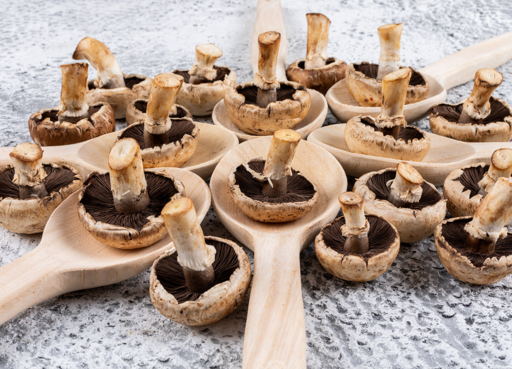 antastic Fungi Guide to Mushroom Supplements
